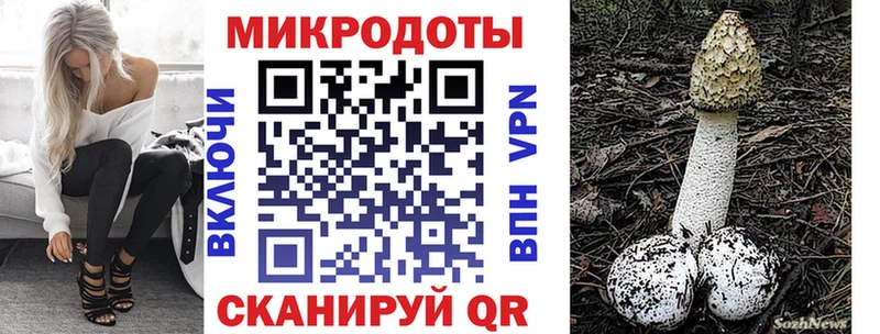 Псилоцибиновые грибы прущие грибы  наркошоп  кракен ССЫЛКА  Катайск 